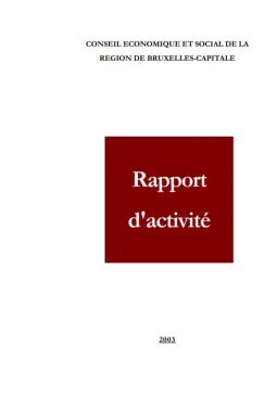 Rapport d'activité 2003