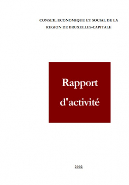 Rapport d'activité 2002