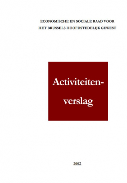 Activiteitenverslag 2002