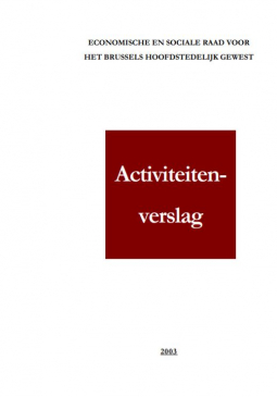 Activiteitenverslag 2003