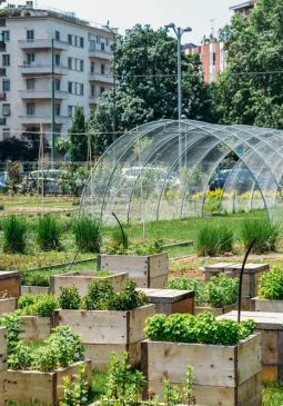 Stadslandbouw in Brussel: ecologische, sociale en milieu-uitdagingen - Presentatie Good Food